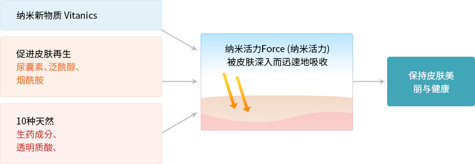 纳米活力Force (纳米活力) 被皮肤深入而迅速地吸收