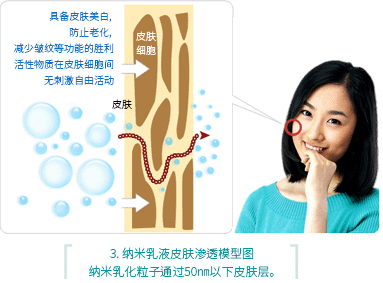 3. 纳米乳液皮肤渗透模型图纳米乳化粒子通过50㎚以下皮肤层。