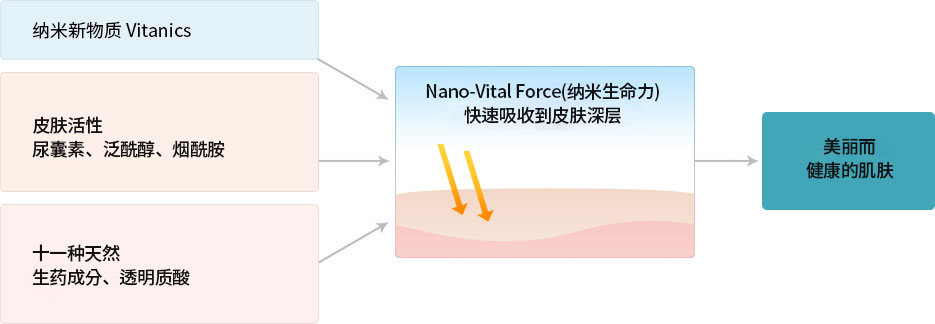 纳米活力Force (纳米活力) 被皮肤深入而迅速地吸收
