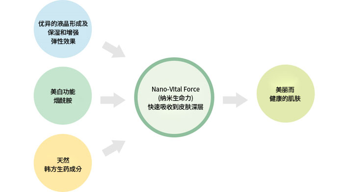 纳米活力Force(纳米活力) 被皮肤深入而迅速地吸收